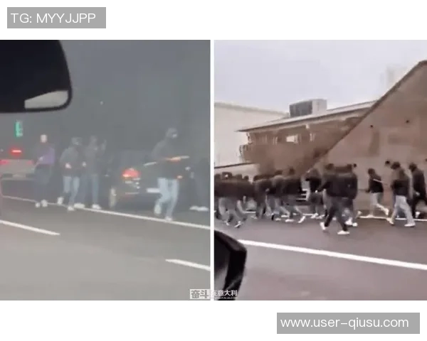 罗马与佛罗伦萨球迷在高速公路上发生激烈冲突警方介入调查事件真相